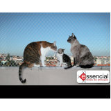 quanto custa tela de proteção de janela para gatos Pompéia